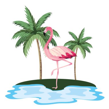 tropikal flamingo karikatür