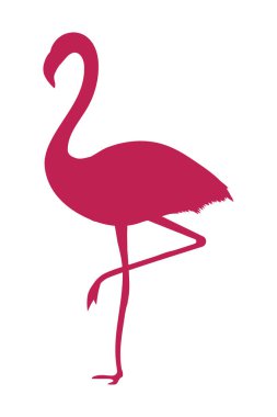 tropikal flamingo karikatür