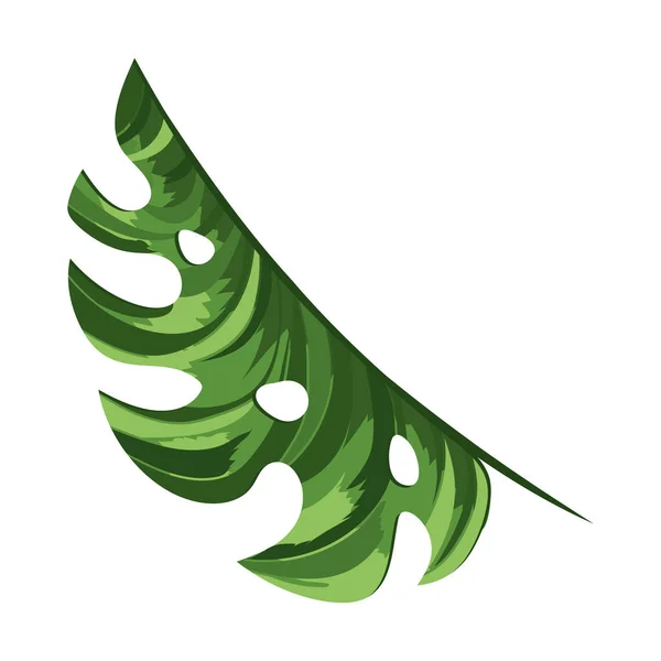 자연 잎 만화 — 스톡 벡터