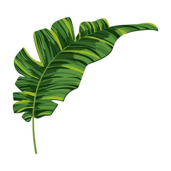 Naturaleza hoja de dibujos animados — Vector de stock