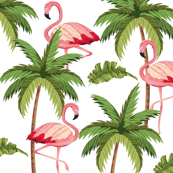 熱帯フラミンゴ漫画 — ストックベクタ