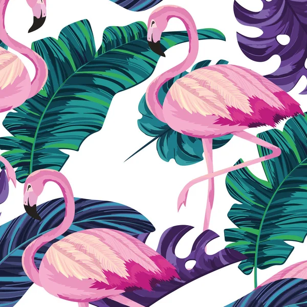 Tropische Flamingo's cartoon — Stockvector
