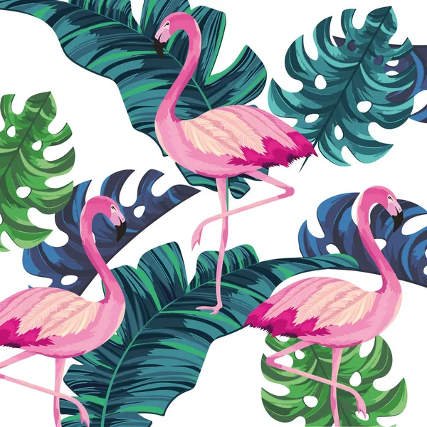 Tropikal flamingolar çizgi film — Stok Vektör