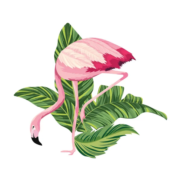 Tropikalne kreskówka flamingo — Wektor stockowy