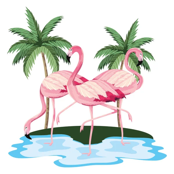 Tropische Flamingo's cartoon — Stockvector