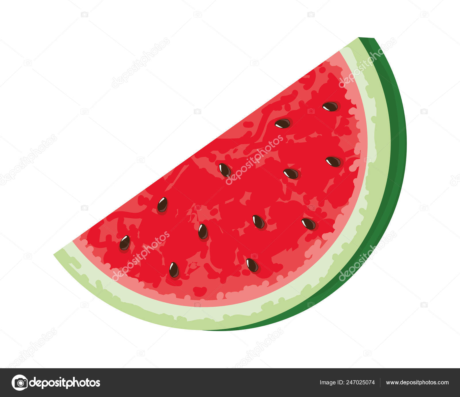 Delicious watermelon cartoon Stock Vector Image by ©stockgiu #247025074