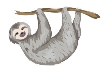 şirin tembellik çizgi film