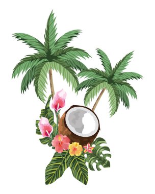 Hindistan cevizi meyve çizgi film