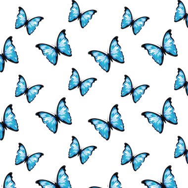 güzel kelebek çizgi film