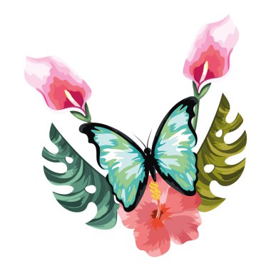 güzel kelebek çizgi film