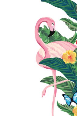 tropikal flamingo karikatür