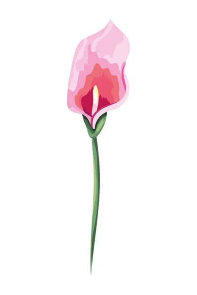 美丽的花卉卡通 — 图库矢量图片