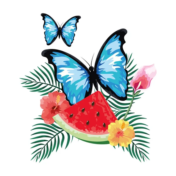 Beautiful butterfly cartoon — Stock Vector