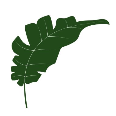 doğa yaprak çizgi film