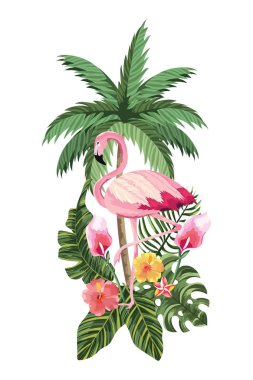 tropikal flamingo karikatür