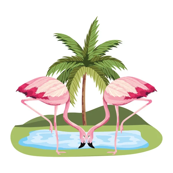 Desenhos animados de flamingos tropicais — Vetor de Stock
