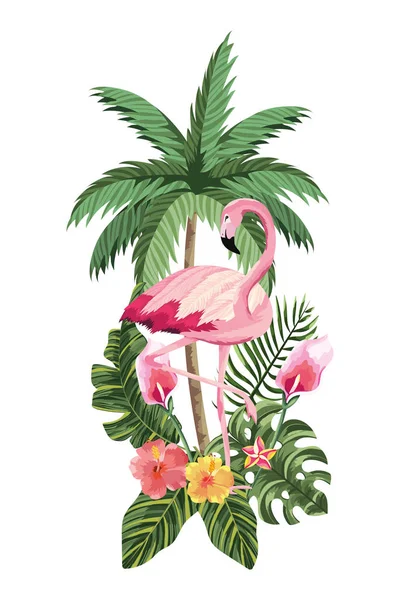 Desenhos animados de flamingo tropical — Vetor de Stock