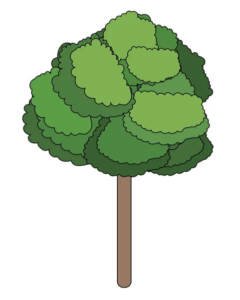 Naturaleza árbol de dibujos animados — Vector de stock