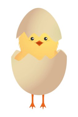 sevimli tavuk çizgi film