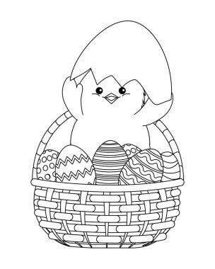 yumurta kabuğu ile piliç