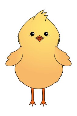 küçük civciv izole