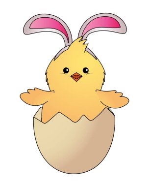 piliç tavşan kulakları ile