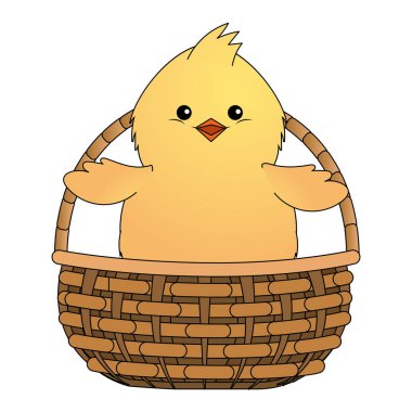 civciv de bir hasır sepet