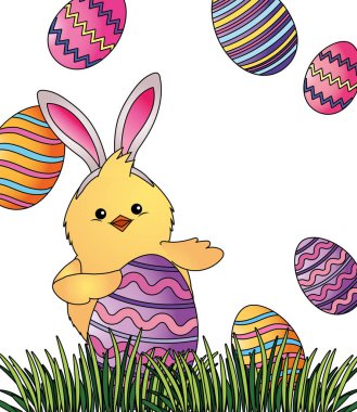 piliç tavşan kulakları ile