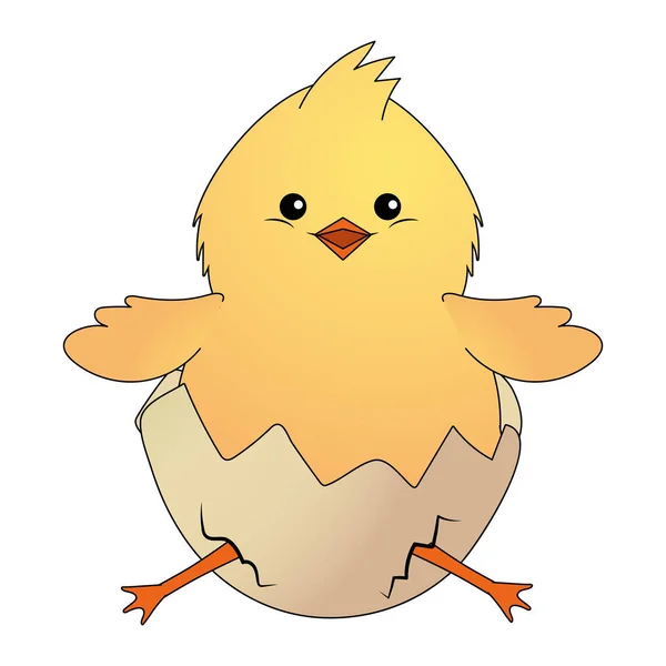 Chick with eggshell — Stock Vector