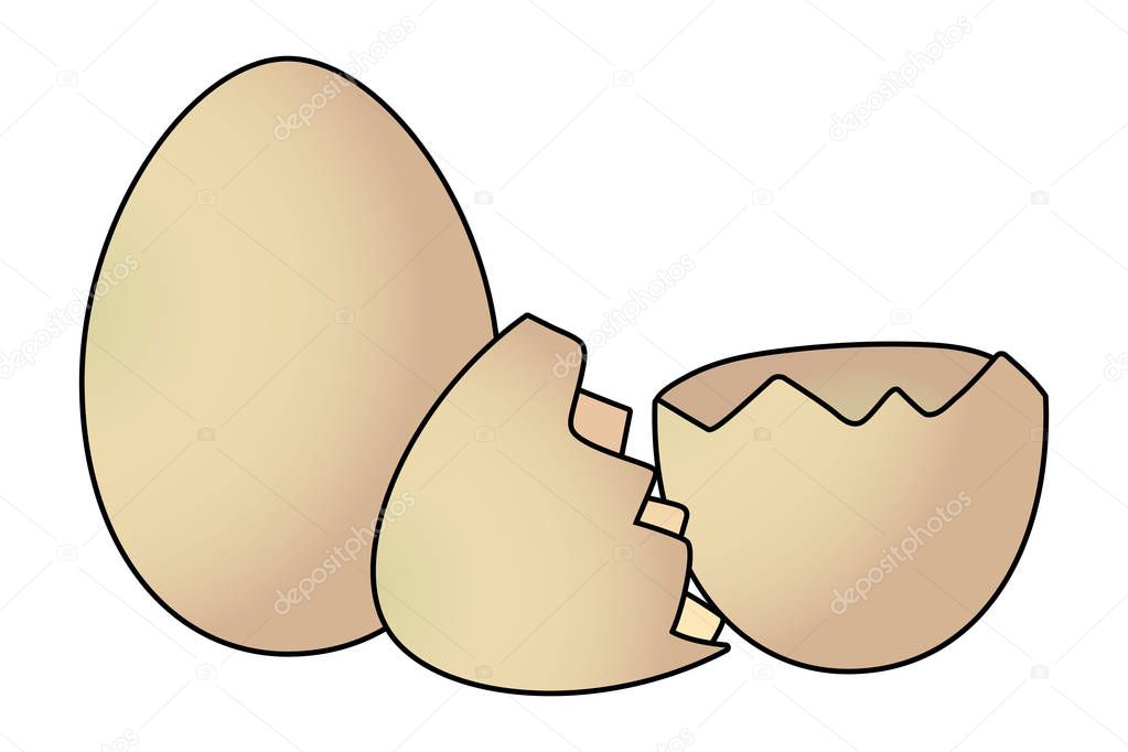 eggshell split isolated