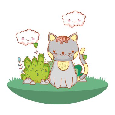 Kitty cat açık havada çizgi film