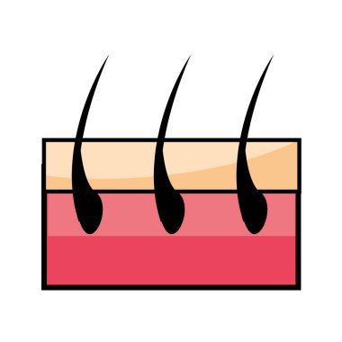 kapiller saç sembolü