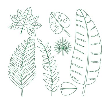 Yapraklar ve çiçekler