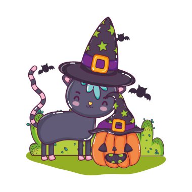 şapkalar ve yarasalar kabak ile güzel kedi