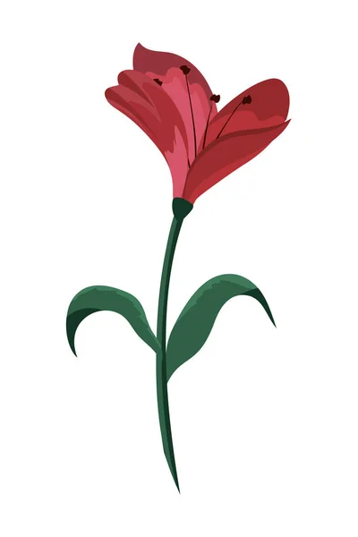 Мила квітка рослина з екзотичним листям — стоковий вектор