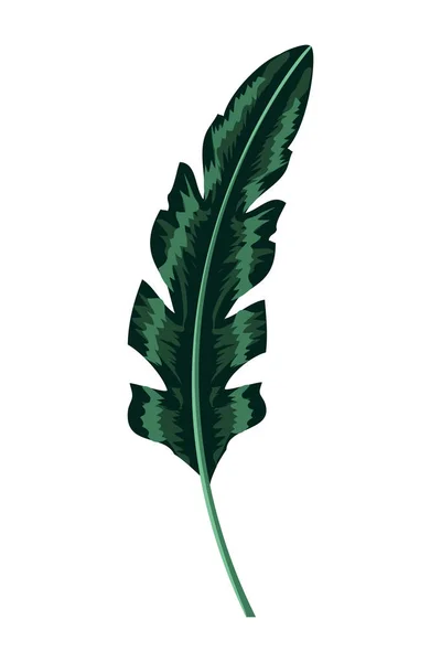 天然のエキゾチックな葉ブランチ スタイル — ストックベクタ