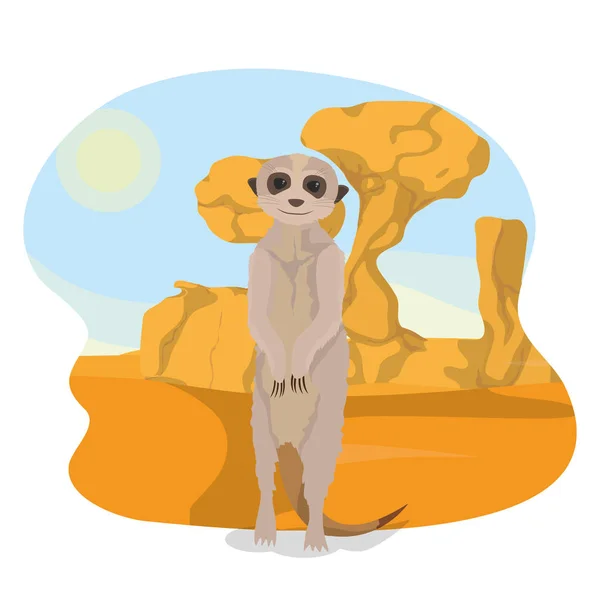 Meerkat no deserto — Vetor de Stock
