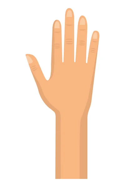 격리 된 손 디자인 — 스톡 벡터