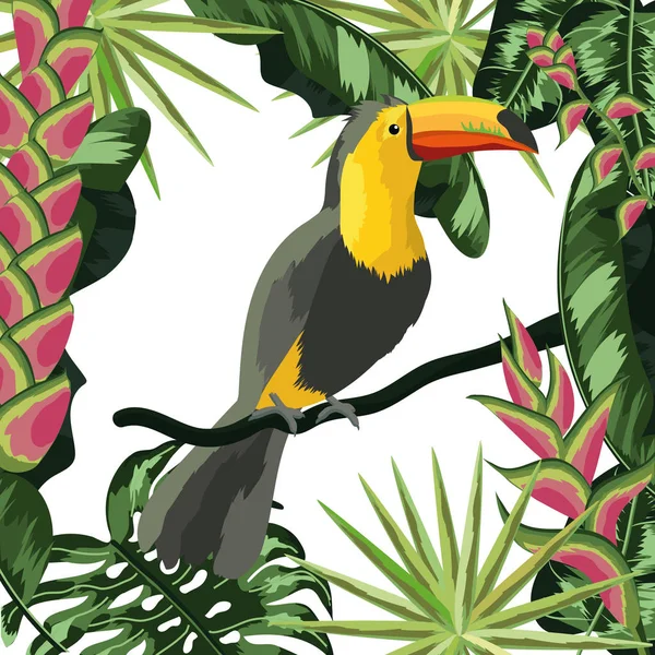 Tucan Oiseaux exotiques et tropicaux — Image vectorielle