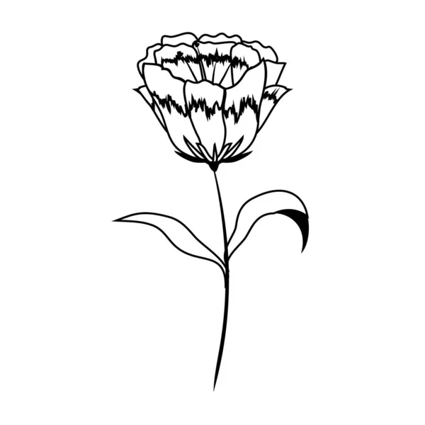 Φυτό όμορφο εξωτικό λουλούδι περίγραμμα με φύλλα — Διανυσματικό Αρχείο