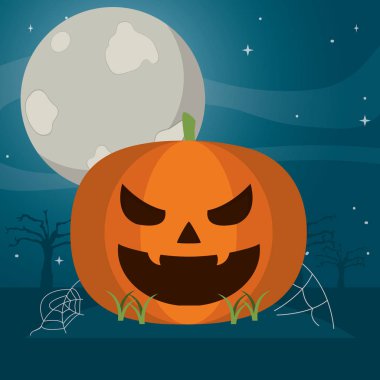 kötü kabak spiderweb ve ay ormandaki ile