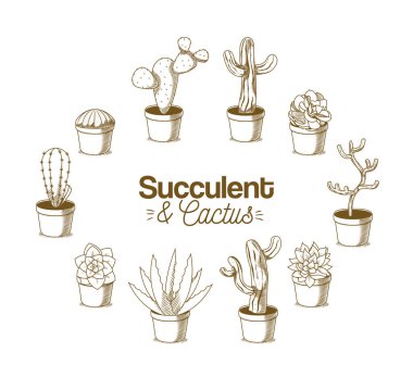 Kaktüs pot el çizimi üzerinde