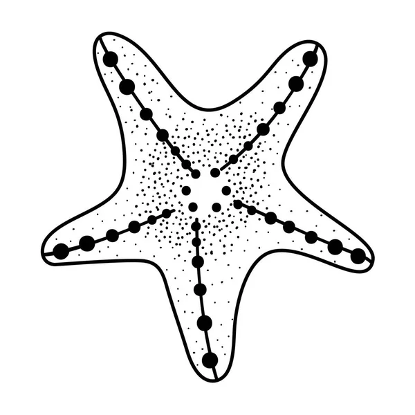 Estrella del mar de dibujos animados — Archivo Imágenes Vectoriales