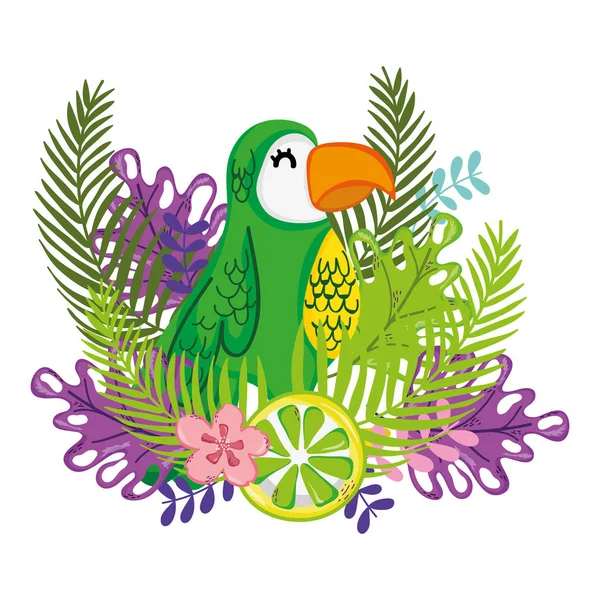 Exotic bird and summer — Stock Vector