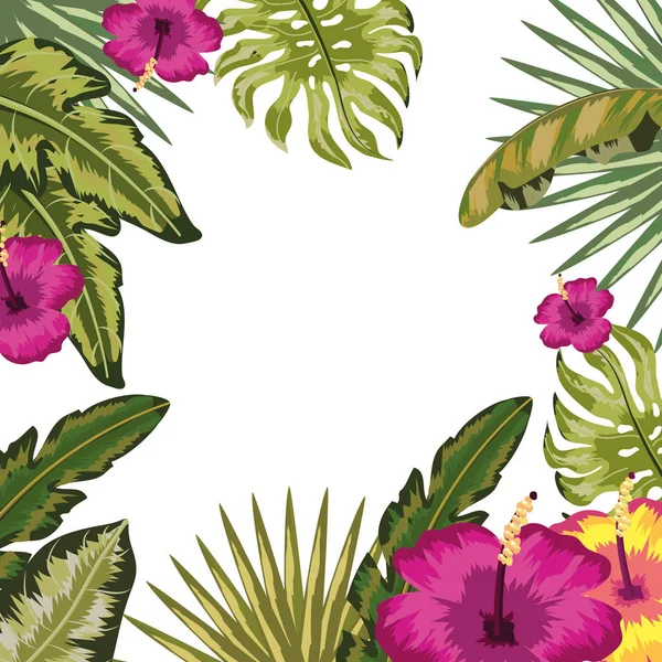 Hojas tropicales y flores de fondo — Vector de stock