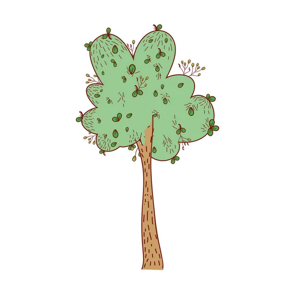 Árvore da natureza com folhas e talo ecologia —  Vetores de Stock