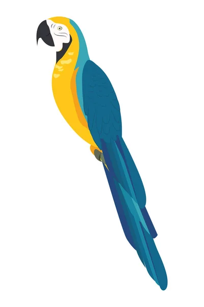 Macaw นกแปลกใหม่และเขตร้อน — ภาพเวกเตอร์สต็อก