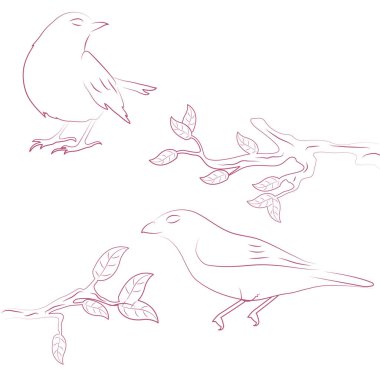 Nisan tasarım Merhaba