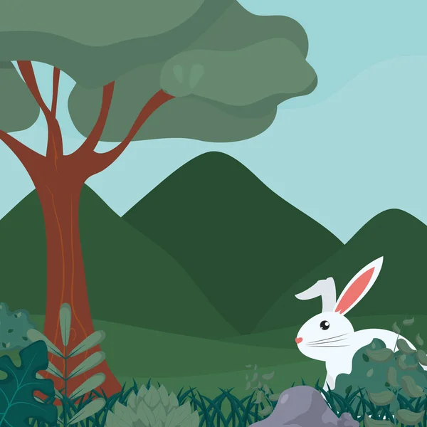Conejo en el bosque — Vector de stock