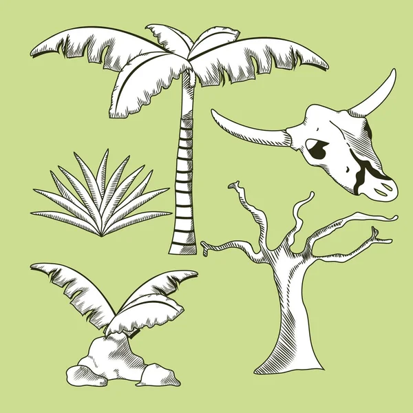 Sivatagi növények kézzel rajzolt rajzfilmek — Stock Vector